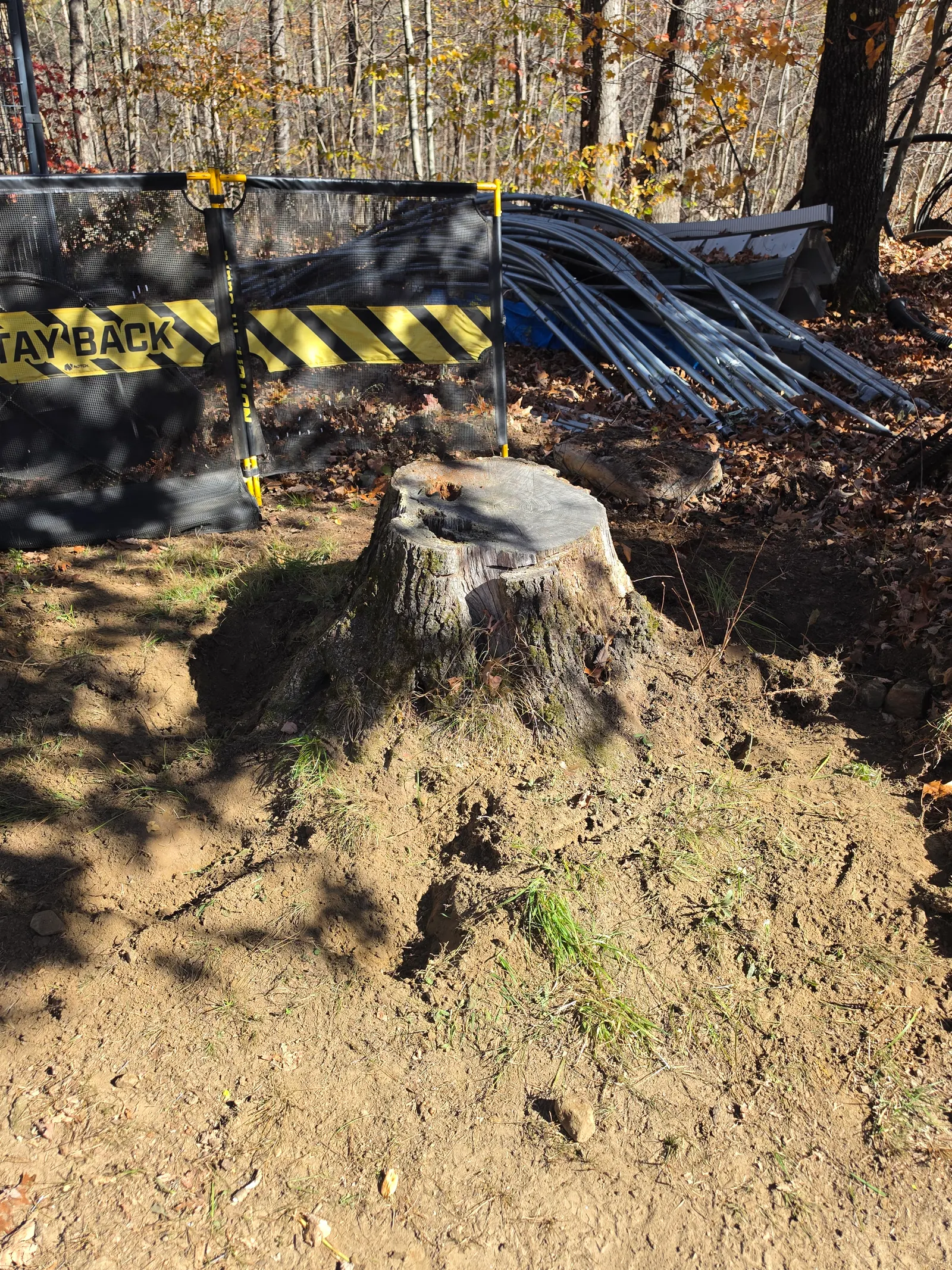 Before: Stump ground out behind the chip curtain in Brimfield, MA