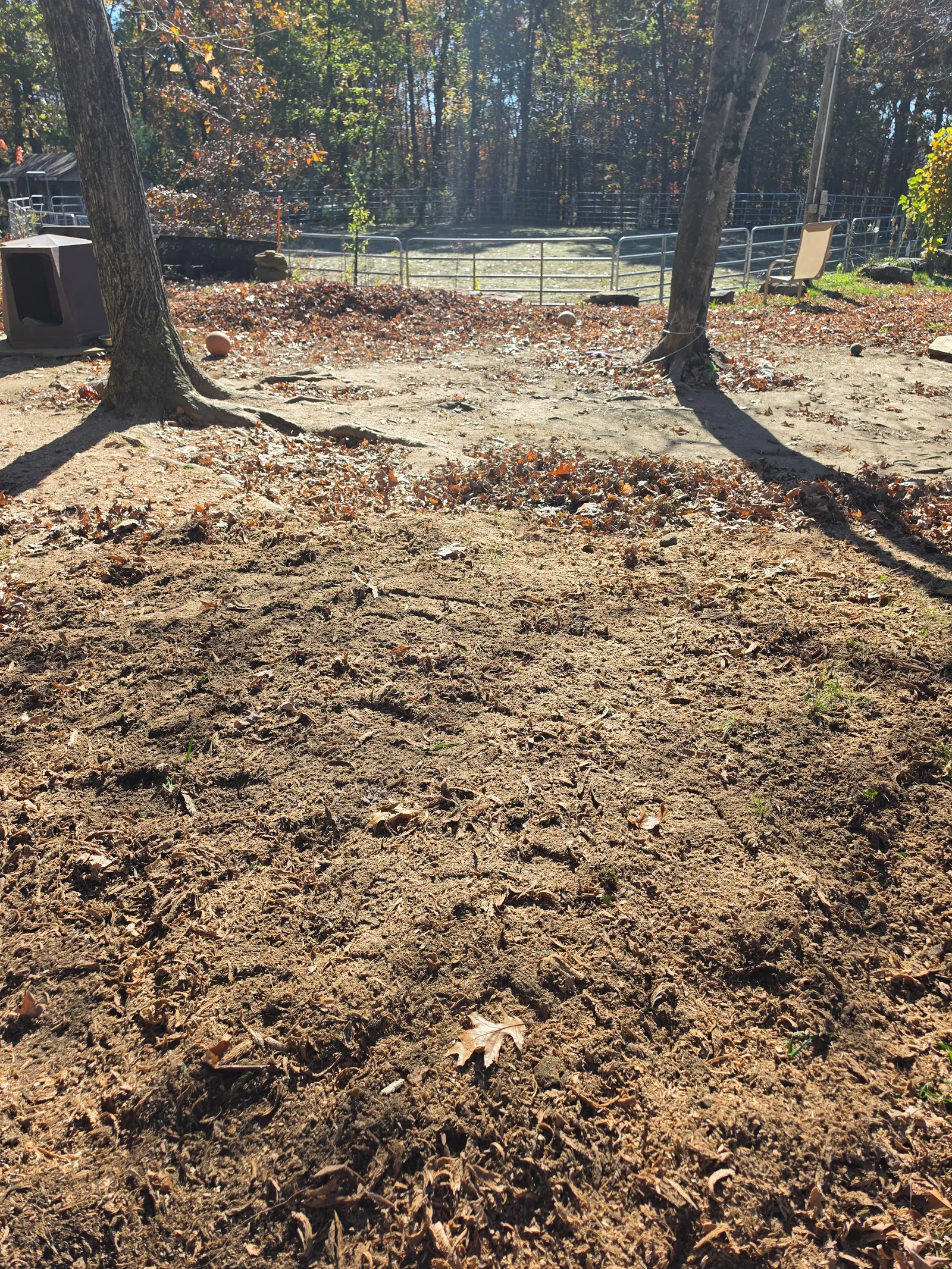 After stump grinding: Yard stump ground below grade and raked smooth in Brimfield, MA